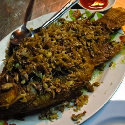 J’ai perdu Richard