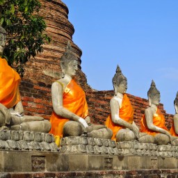 Le rire : langage international !