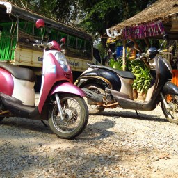 Scooter à Sukhothai