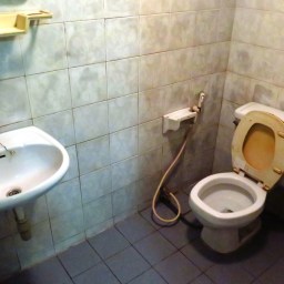 Sold out à Chiang Mai !