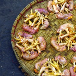 Personnalité de la semaine #3 : Dominka !