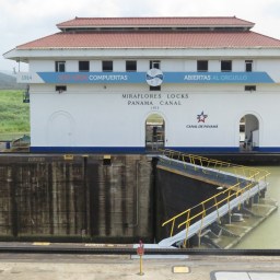 Quand le croco est comme un orignal