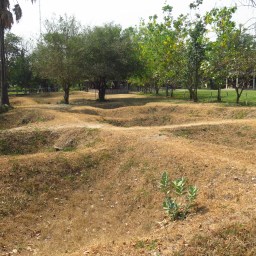 Les crânes cambodgiens