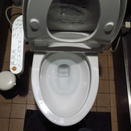 Monologue sur la toilette japonaise