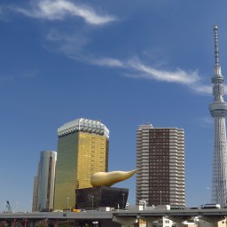 Vinyle Mobile : une plante vivace