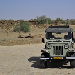 Julie, la cavalière du désert