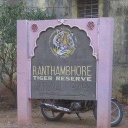 Vidéo  : Ranthambore Park – safari + bouffe de FEU