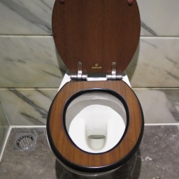 Une toilette 5 étoiles