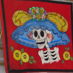 Armes à feu à Oaxaca (partie 1)