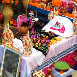 Vidéo : Tournée chiapathèque et virée Rock & Roll à Mexico