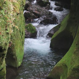 Cruella, l’aigre française