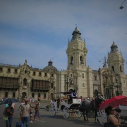 Une bulle au cerveau