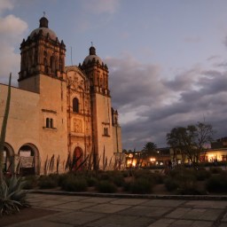 Le bol de tête de Julie